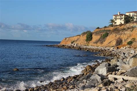 san pedro channel swimming.